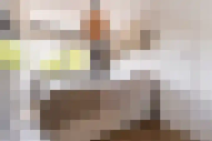 Philip Vingboonsstraat 208 Rotterdam thumbnail 14