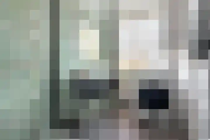 Philip Vingboonsstraat 208 Rotterdam thumbnail 23