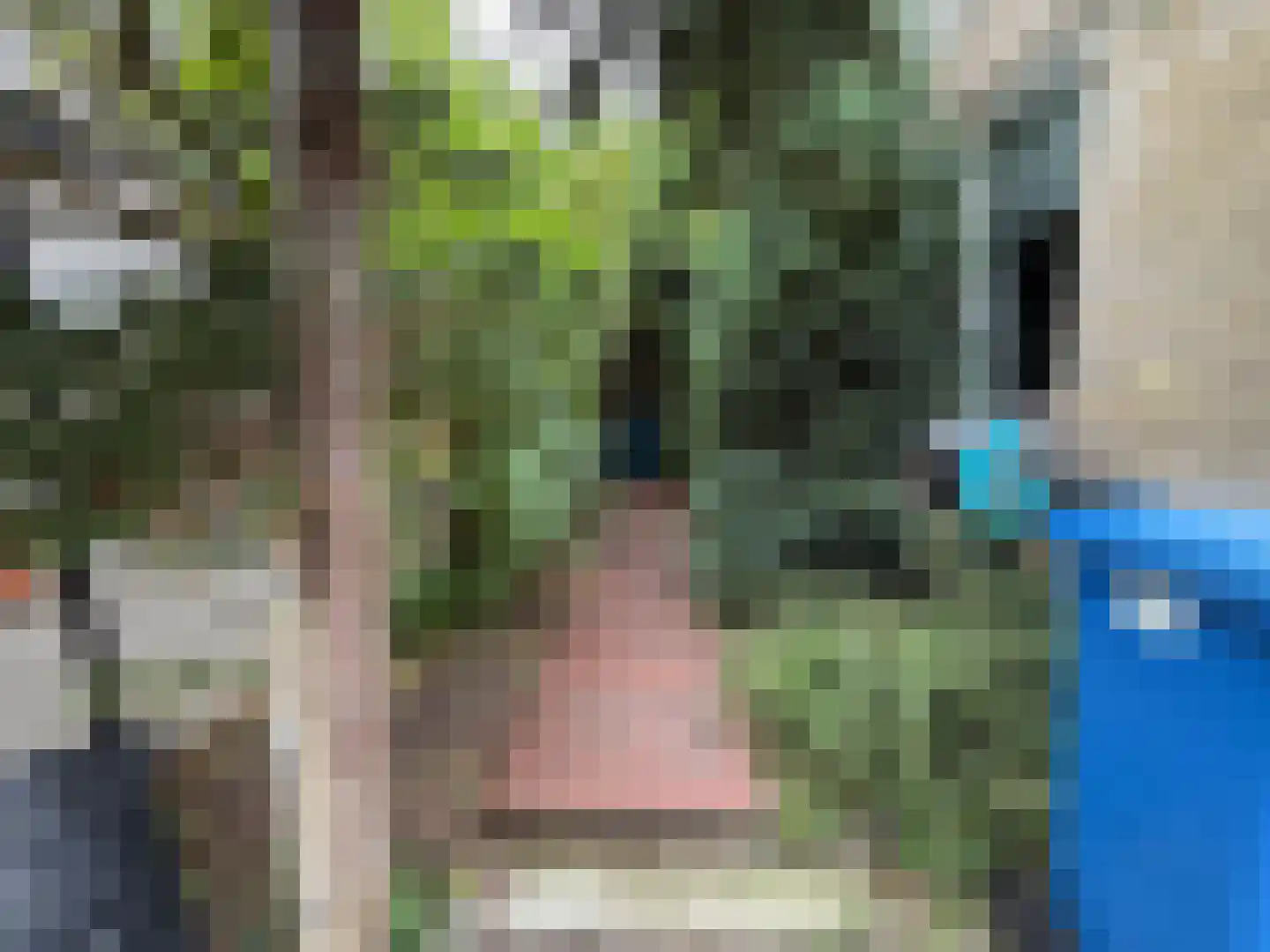 Philip Vingboonsstraat 21 Rotterdam thumbnail 33