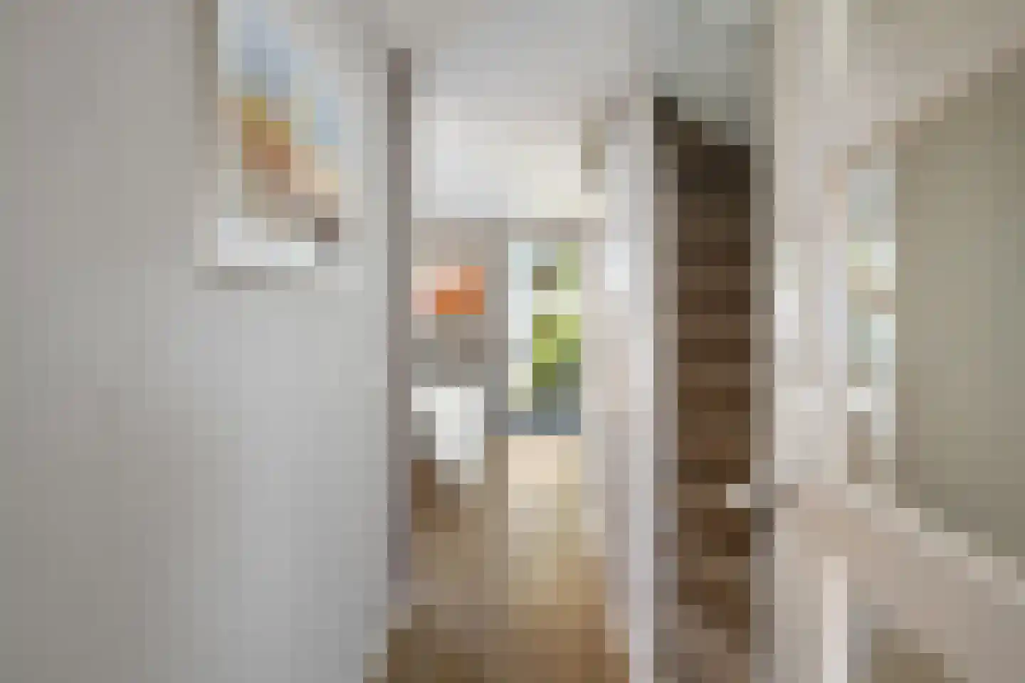 Philip Vingboonsstraat 47 Rotterdam thumbnail 5