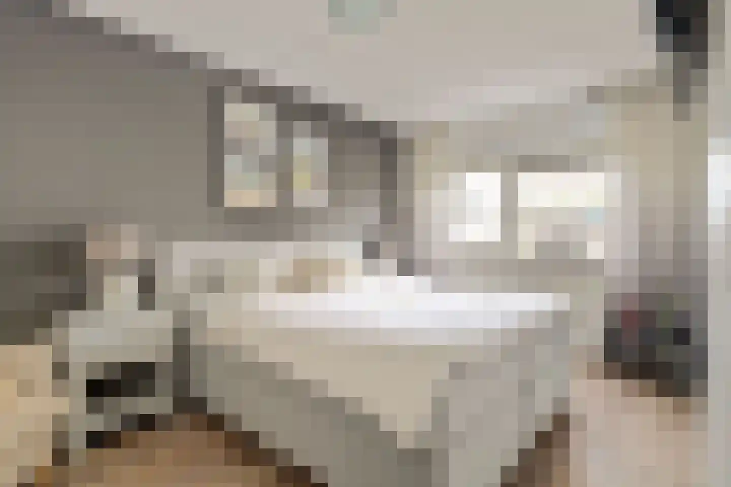 Philippote van der Marckstraat 35 Vianen thumbnail 20