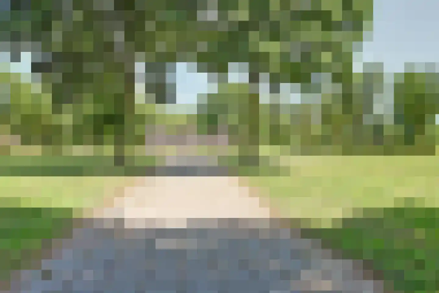 Philippote van der Marckstraat 35 Vianen thumbnail 36