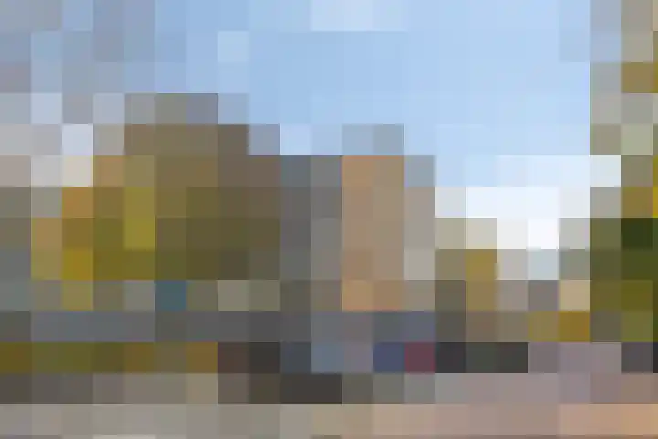 Philippus de Montestraat 56 's-Hertogenbosch thumbnail 21