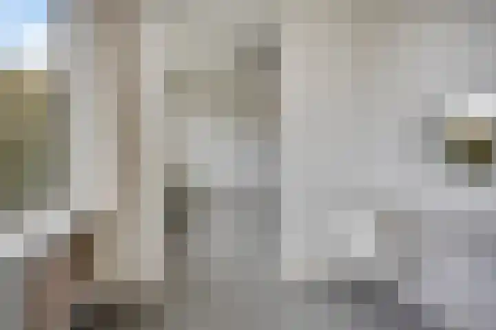 Philippus de Montestraat 56 's-Hertogenbosch thumbnail 6