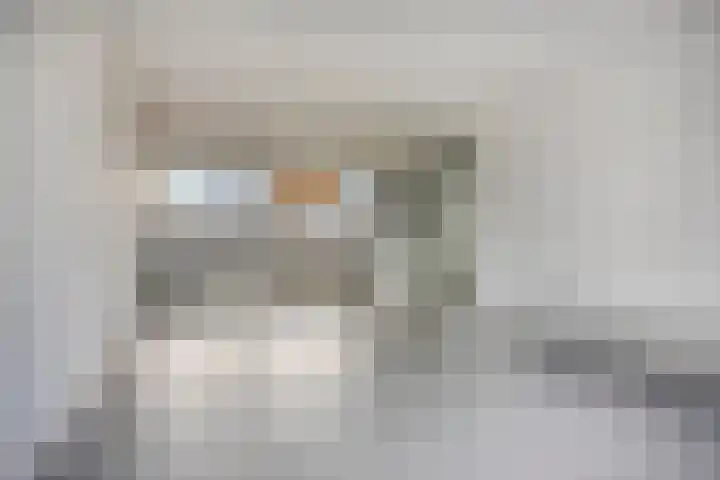 Philippus de Montestraat 56 's-Hertogenbosch thumbnail 7