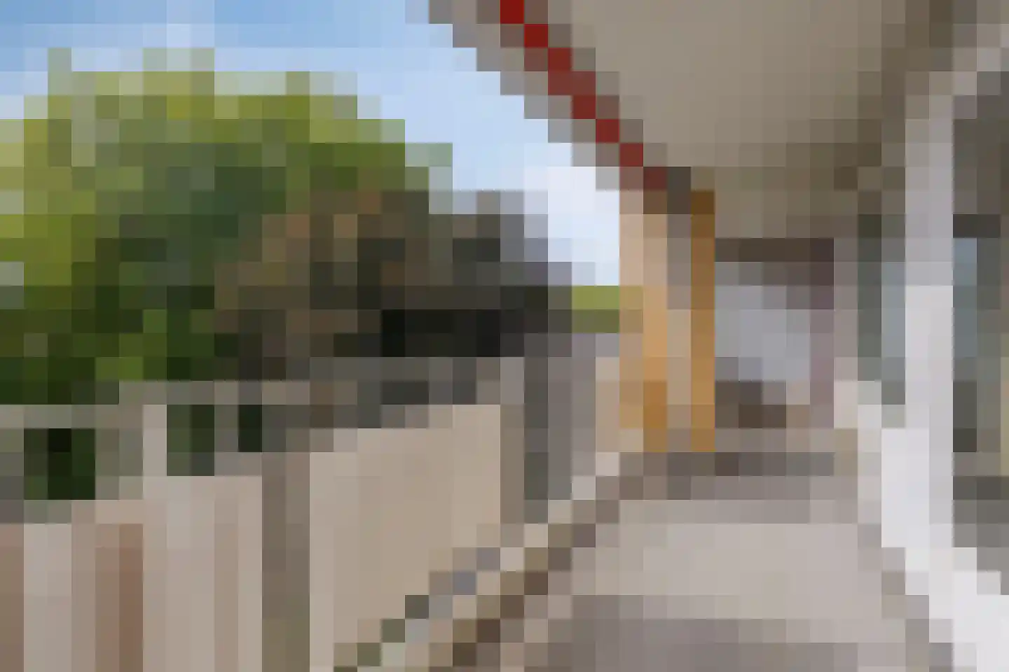 Philippus de Montestraat 62 's-Hertogenbosch thumbnail 24