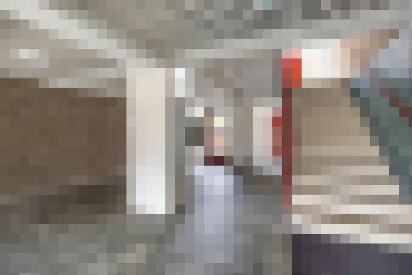 Philippus de Montestraat 62 's-Hertogenbosch thumbnail 7