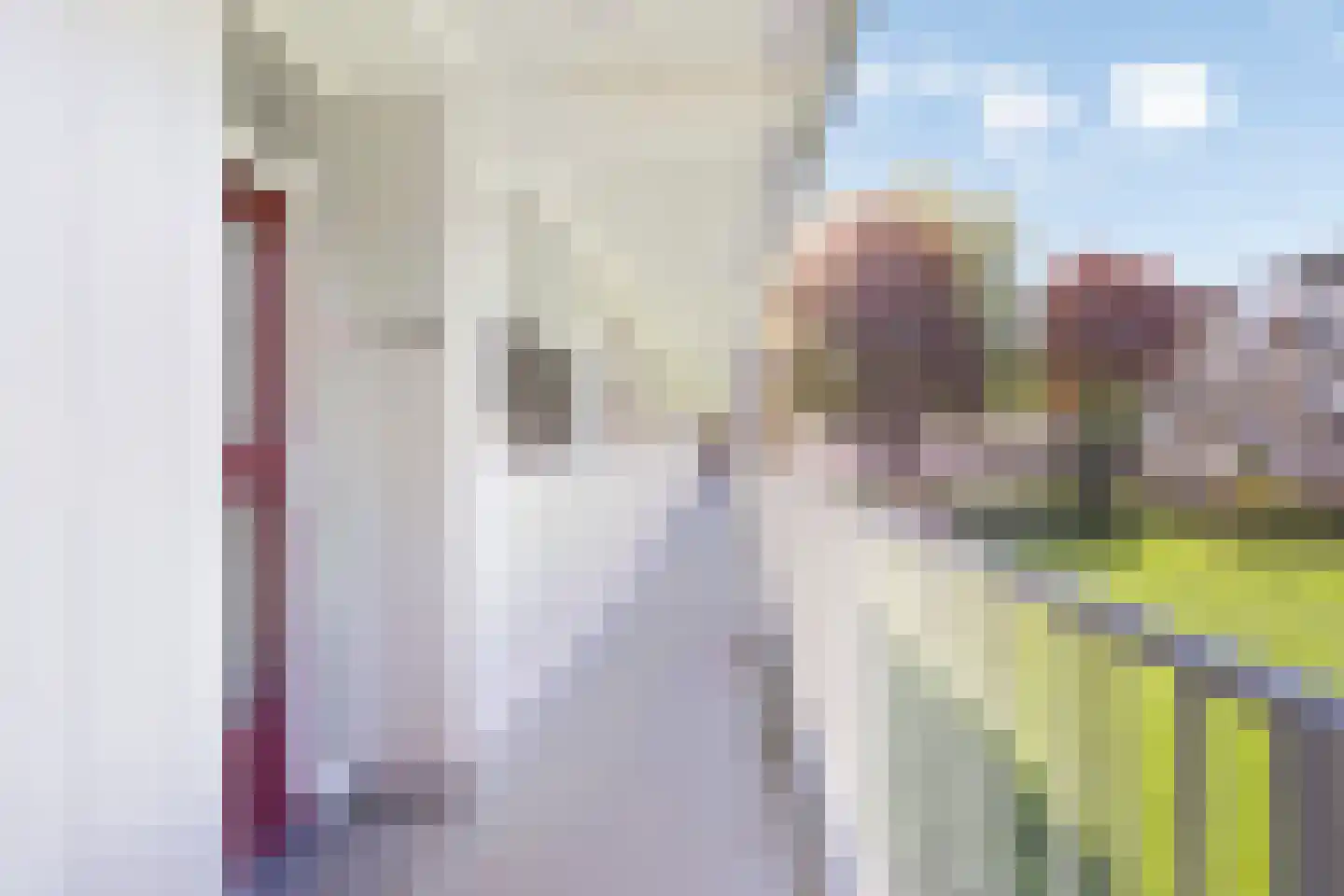 Philippus de Montestraat 76 's-Hertogenbosch thumbnail 10