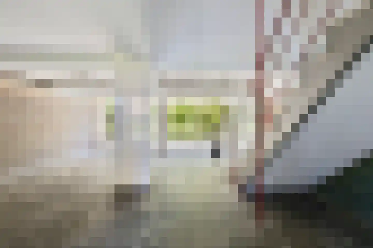 Philippus de Montestraat 76 's-Hertogenbosch thumbnail 9