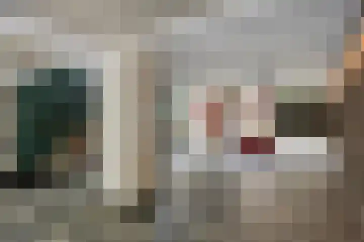 Philippus de Montestraat 84 's-Hertogenbosch thumbnail 26