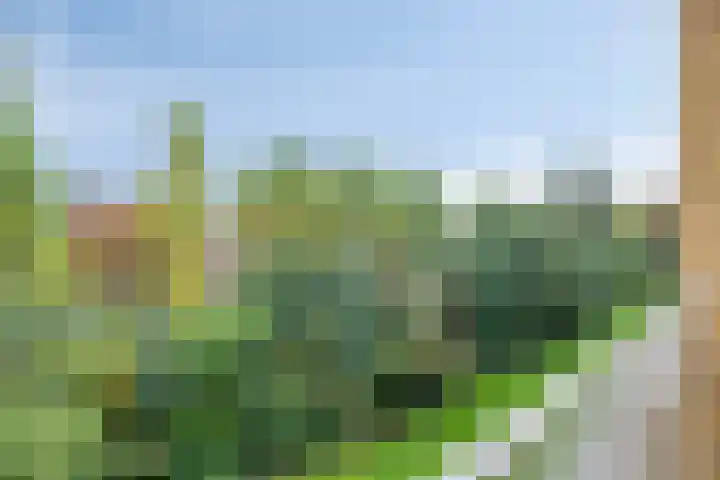 Philippus de Montestraat 84 's-Hertogenbosch thumbnail 4