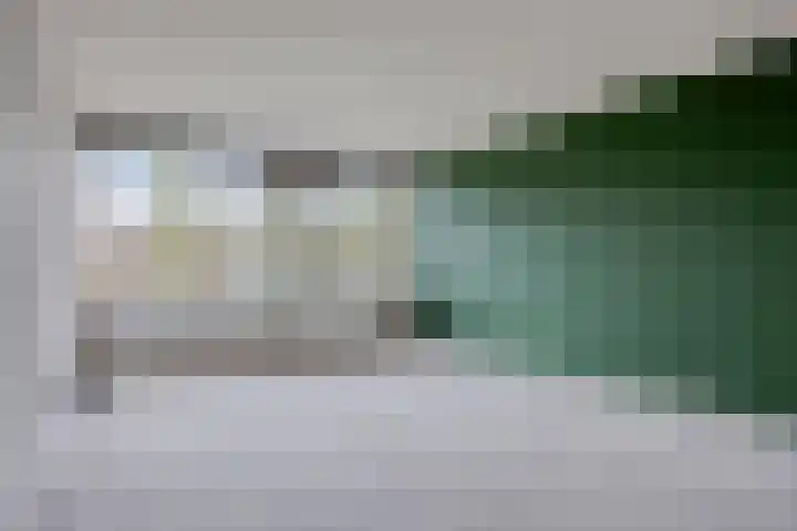 Philippus de Montestraat 84 's-Hertogenbosch thumbnail 5