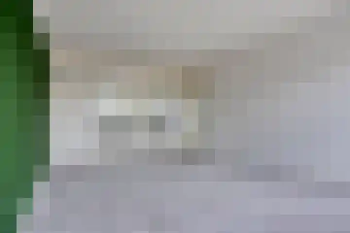 Philippus de Montestraat 84 's-Hertogenbosch thumbnail 6