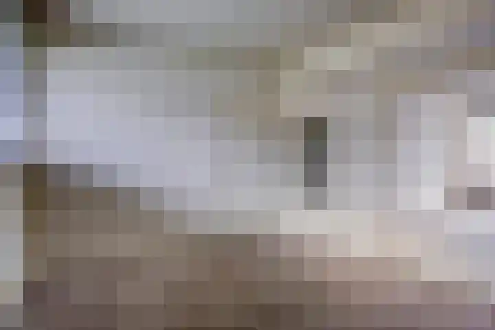 Philippus de Montestraat 84 's-Hertogenbosch thumbnail 9