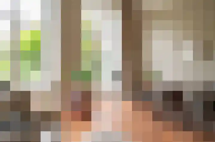 Philippus Gastelaarsstraat 19 Doesburg thumbnail 18
