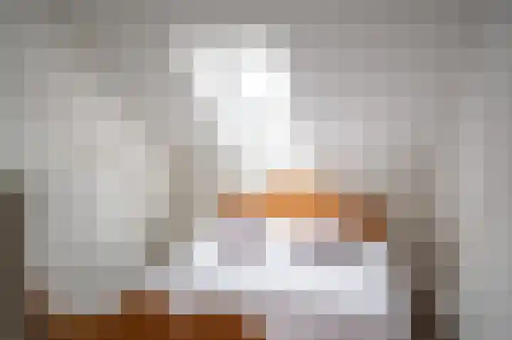 Philippus Gastelaarsstraat 19 Doesburg thumbnail 47