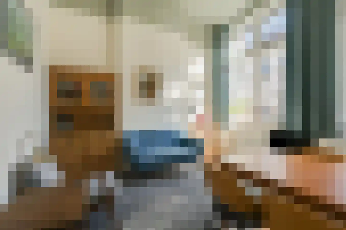 Philippus Gastelaarsstraat 3 Doesburg thumbnail 12