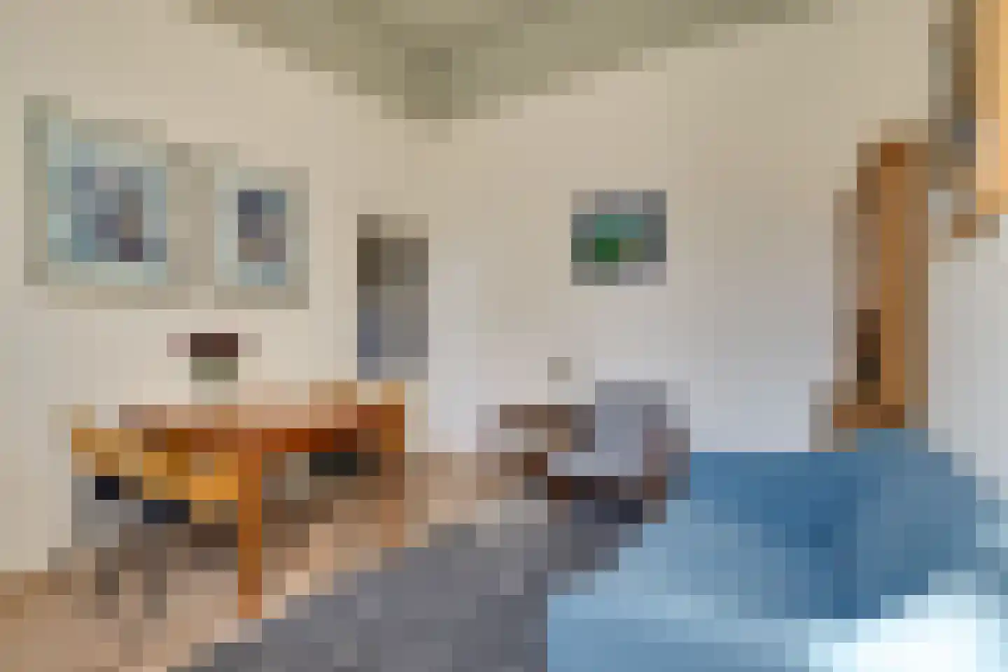 Philippus Gastelaarsstraat 3 Doesburg thumbnail 14