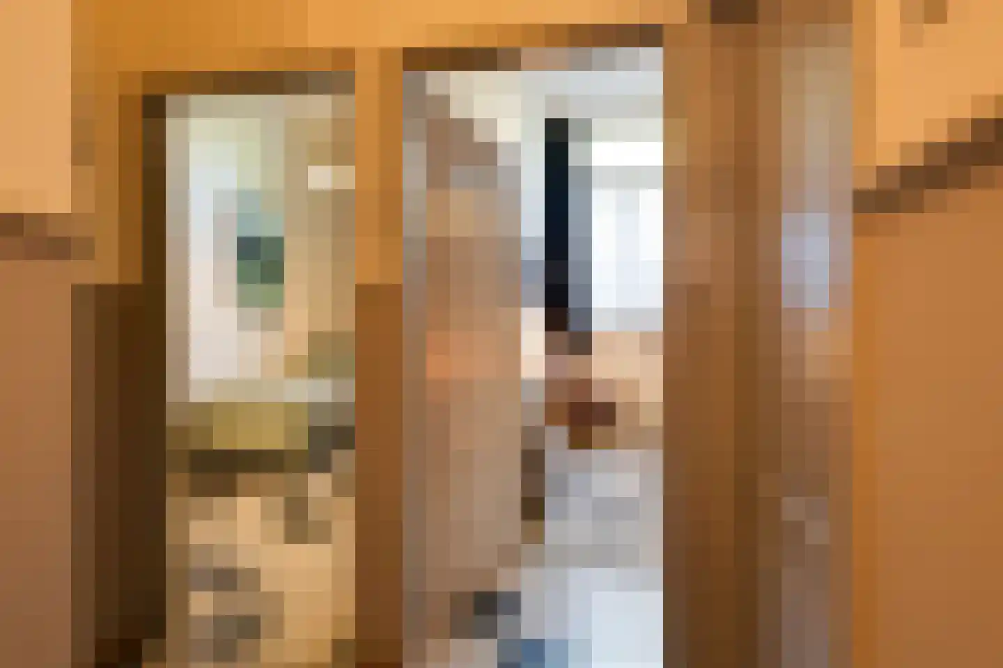 Philippus Gastelaarsstraat 3 Doesburg thumbnail 16