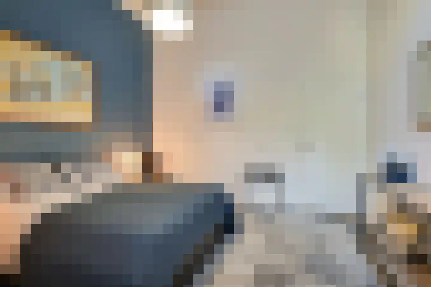 Philippus Gastelaarsstraat 3 Doesburg thumbnail 18