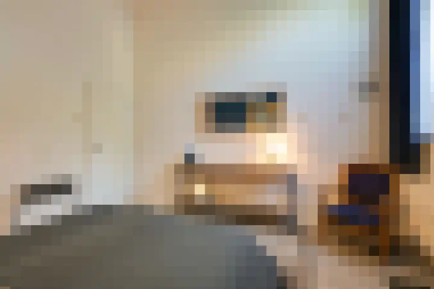 Philippus Gastelaarsstraat 3 Doesburg thumbnail 19