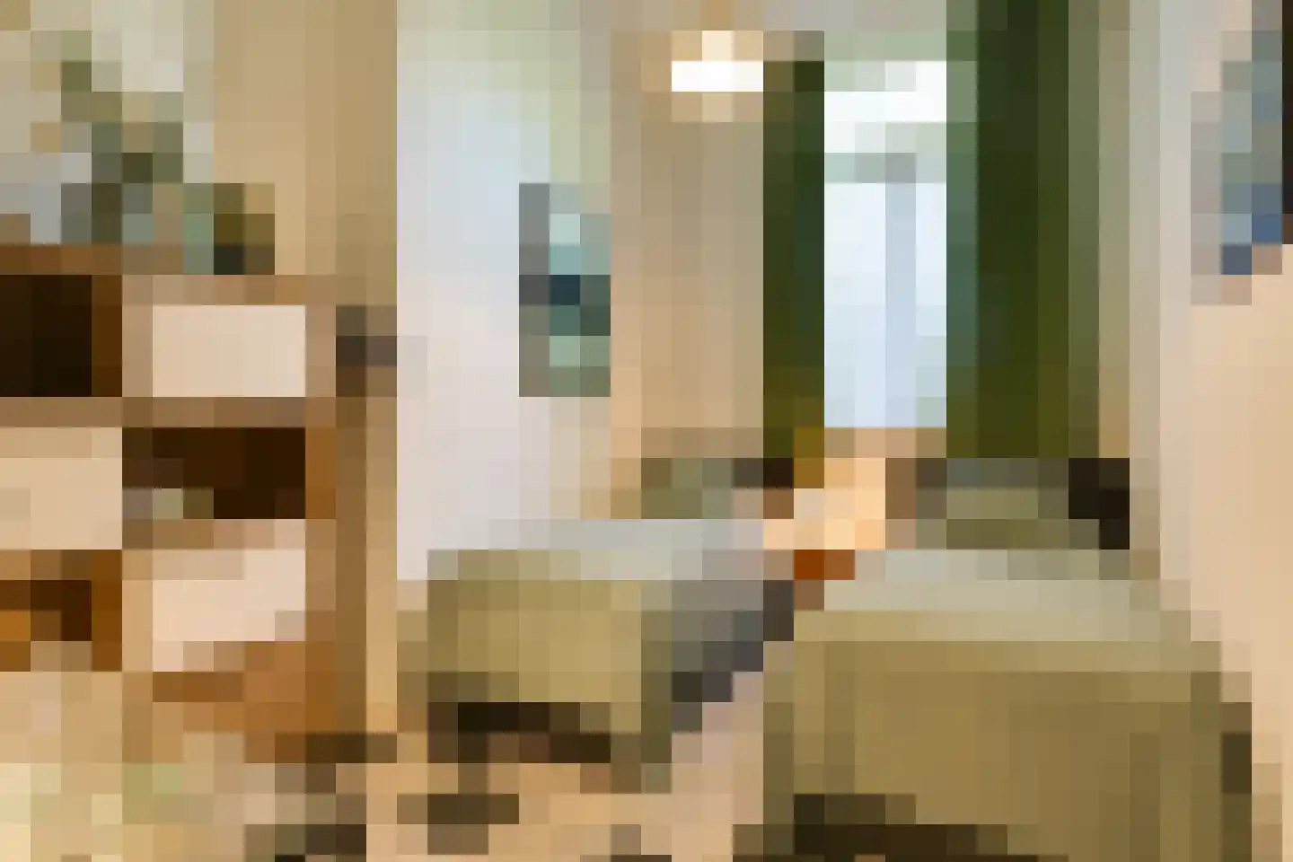 Philippus Gastelaarsstraat 3 Doesburg thumbnail 20