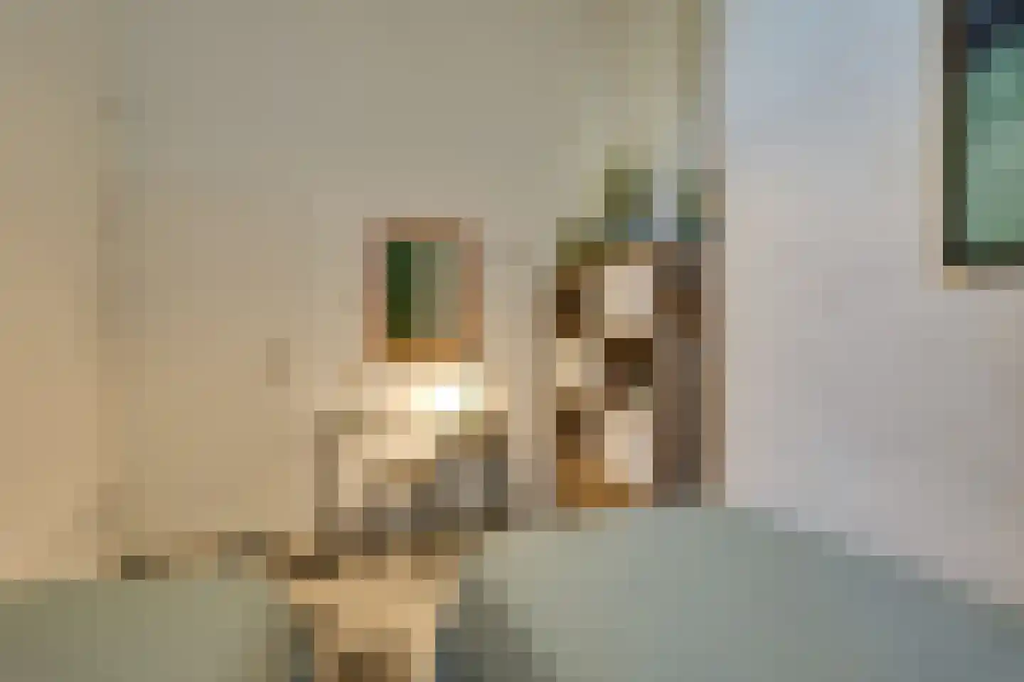 Philippus Gastelaarsstraat 3 Doesburg thumbnail 21