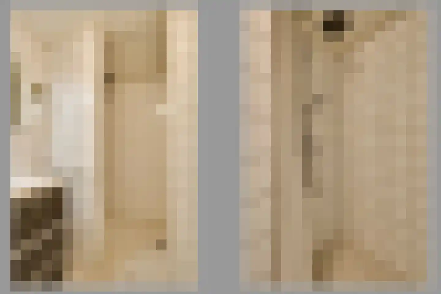 Philippus Gastelaarsstraat 3 Doesburg thumbnail 24