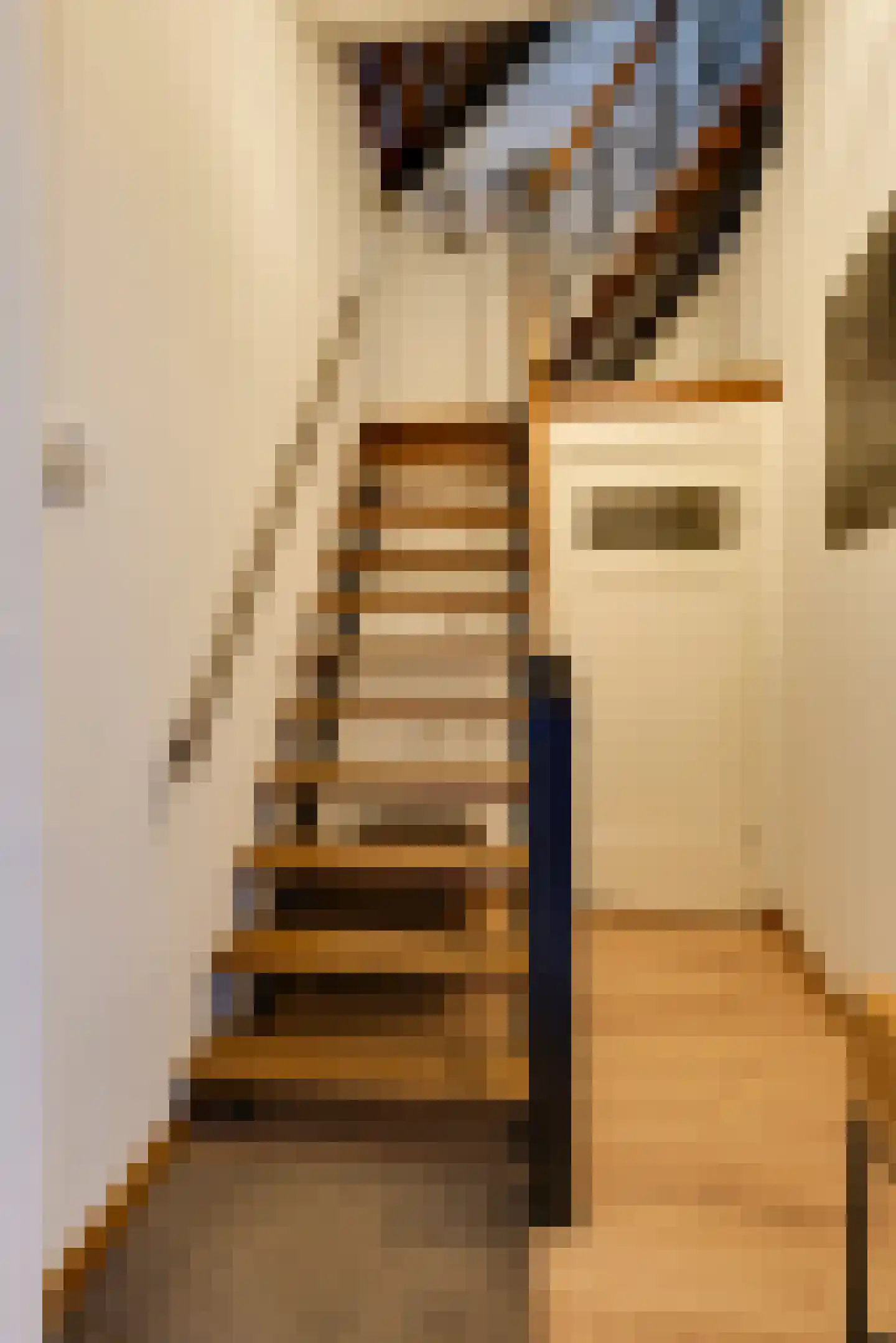 Philippus Gastelaarsstraat 3 Doesburg thumbnail 26