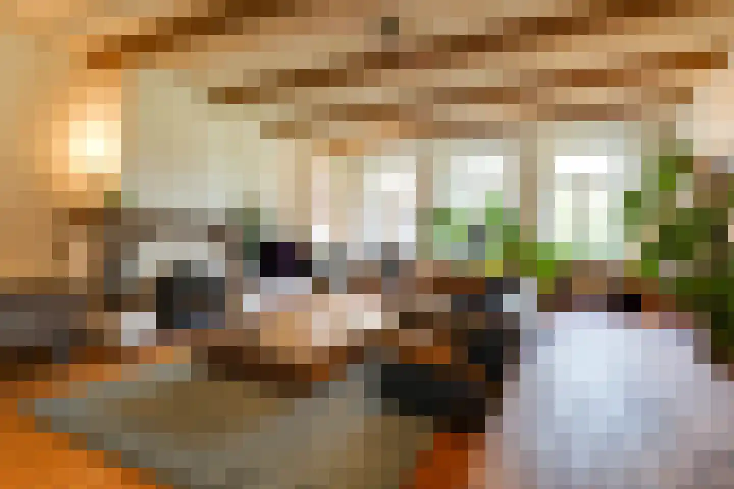 Philippus Gastelaarsstraat 3 Doesburg thumbnail 27
