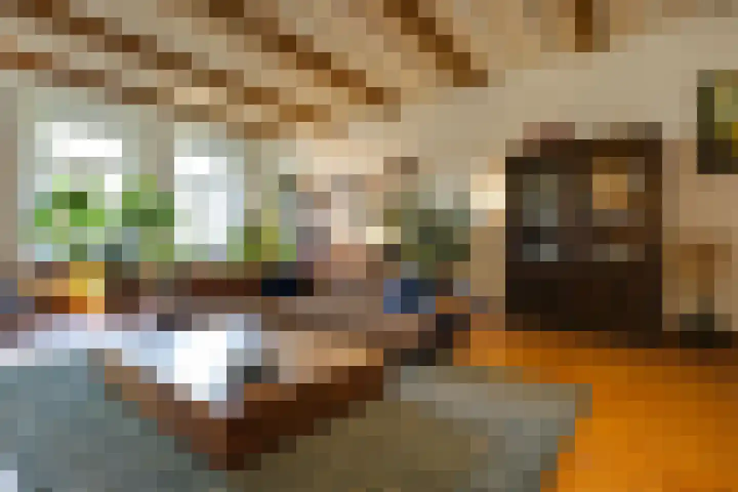 Philippus Gastelaarsstraat 3 Doesburg thumbnail 29