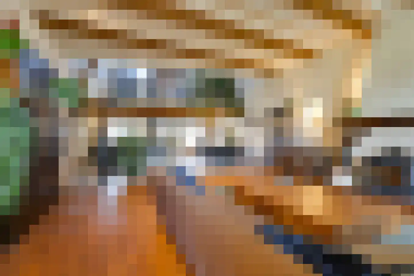 Philippus Gastelaarsstraat 3 Doesburg thumbnail 35