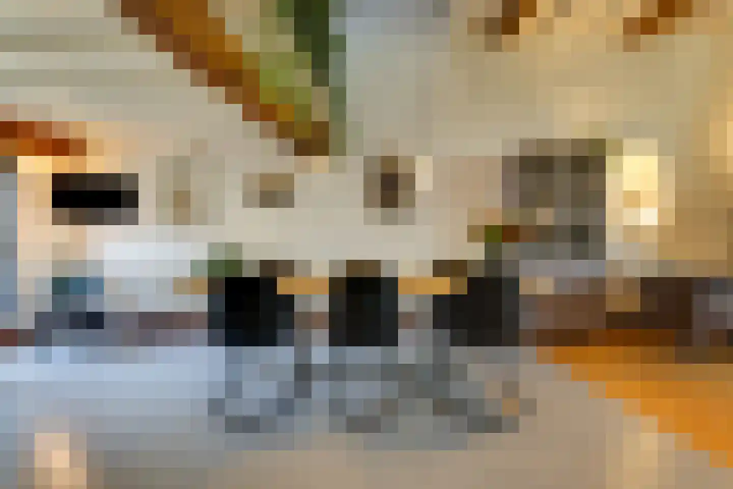 Philippus Gastelaarsstraat 3 Doesburg thumbnail 36