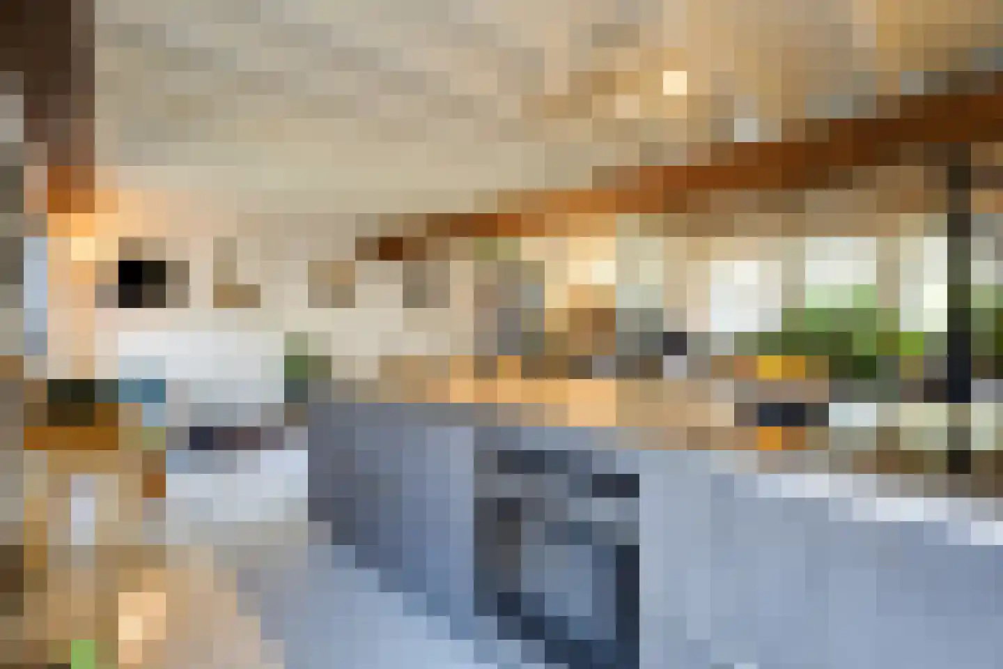 Philippus Gastelaarsstraat 3 Doesburg thumbnail 41