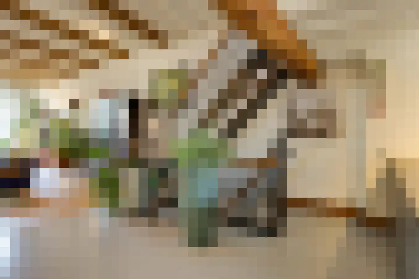 Philippus Gastelaarsstraat 3 Doesburg thumbnail 47