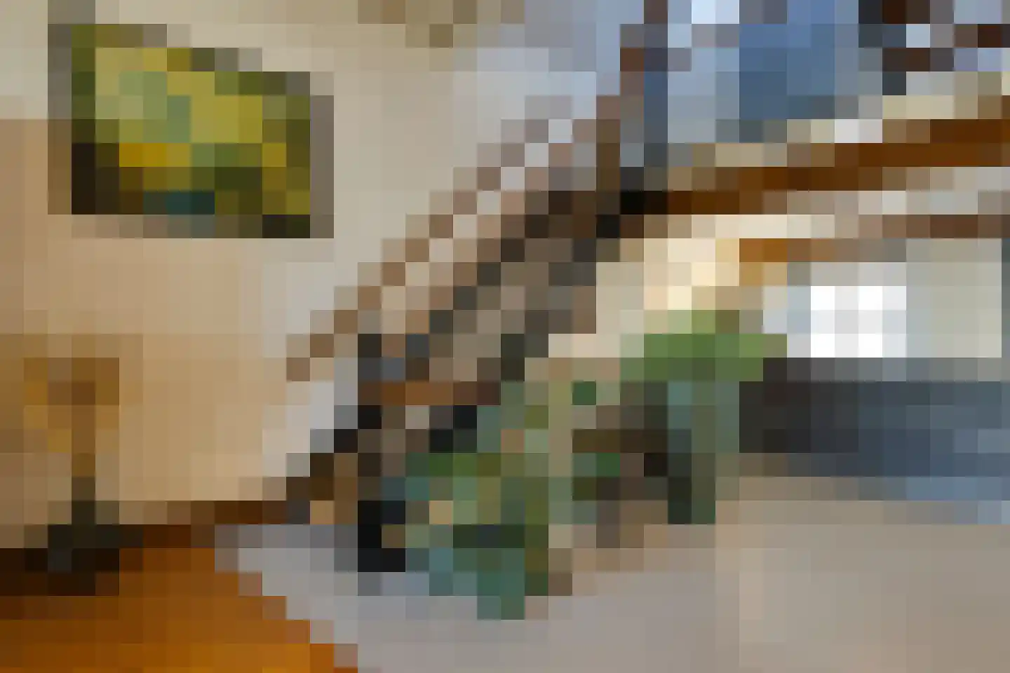 Philippus Gastelaarsstraat 3 Doesburg thumbnail 48