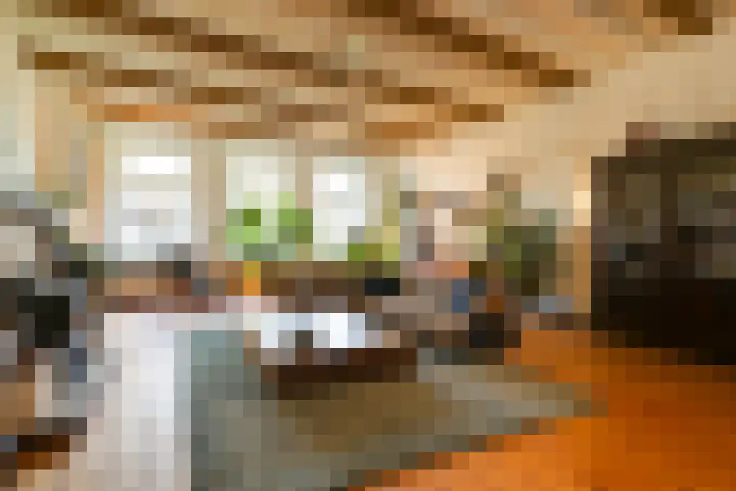 Philippus Gastelaarsstraat 3 Doesburg thumbnail 5