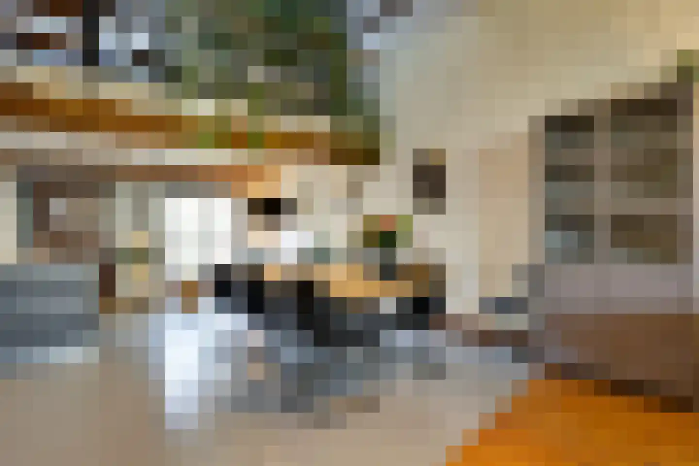 Philippus Gastelaarsstraat 3 Doesburg thumbnail 6