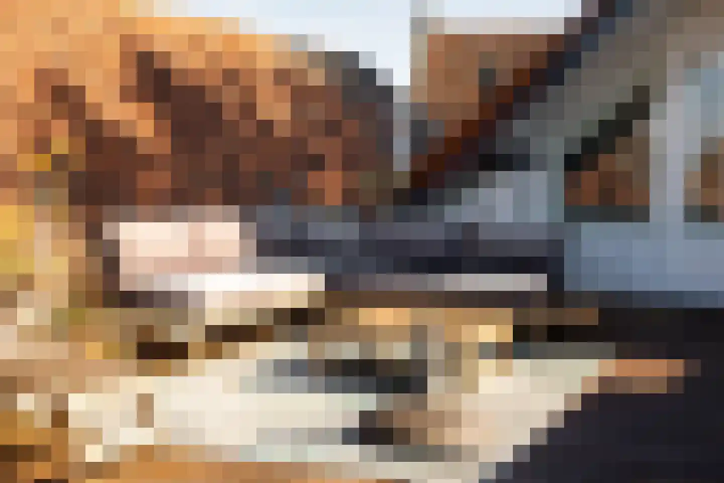 Philippus Gastelaarsstraat 3 Doesburg thumbnail 60