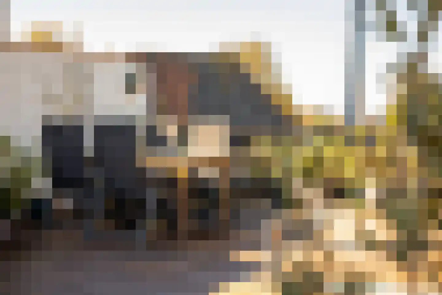 Philippus Gastelaarsstraat 3 Doesburg thumbnail 61