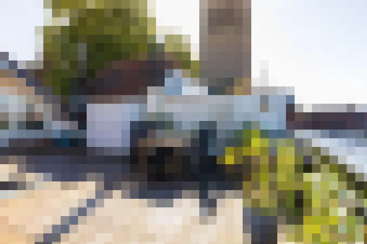 Philippus Gastelaarsstraat 3 Doesburg thumbnail 64