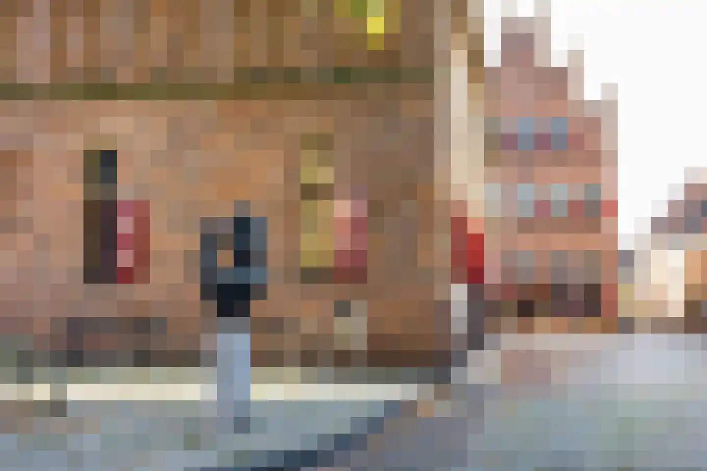 Philippus Gastelaarsstraat 3 Doesburg thumbnail 81