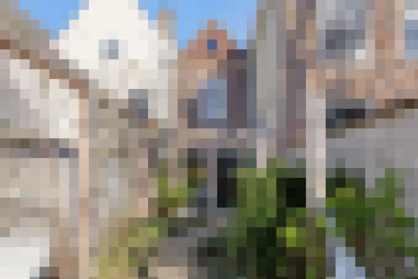 Philippus Gastelaarsstraat 9 a Doesburg thumbnail 53