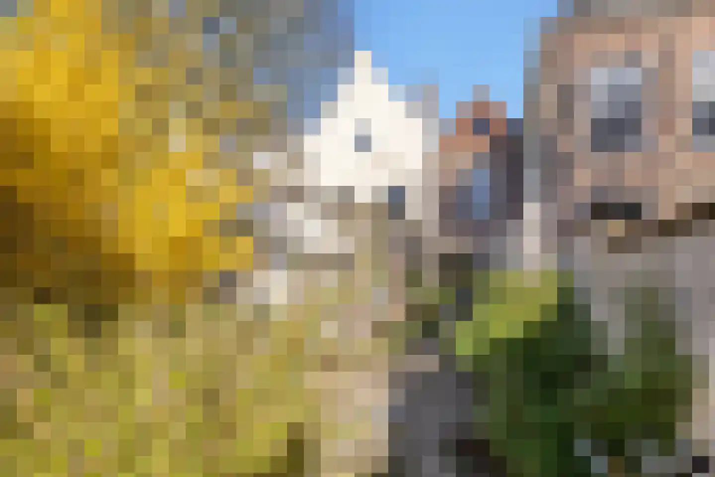 Philippus Gastelaarsstraat 9 a Doesburg thumbnail 54