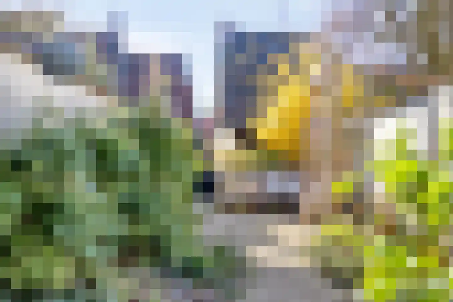 Philippus Gastelaarsstraat 9 a Doesburg thumbnail 55
