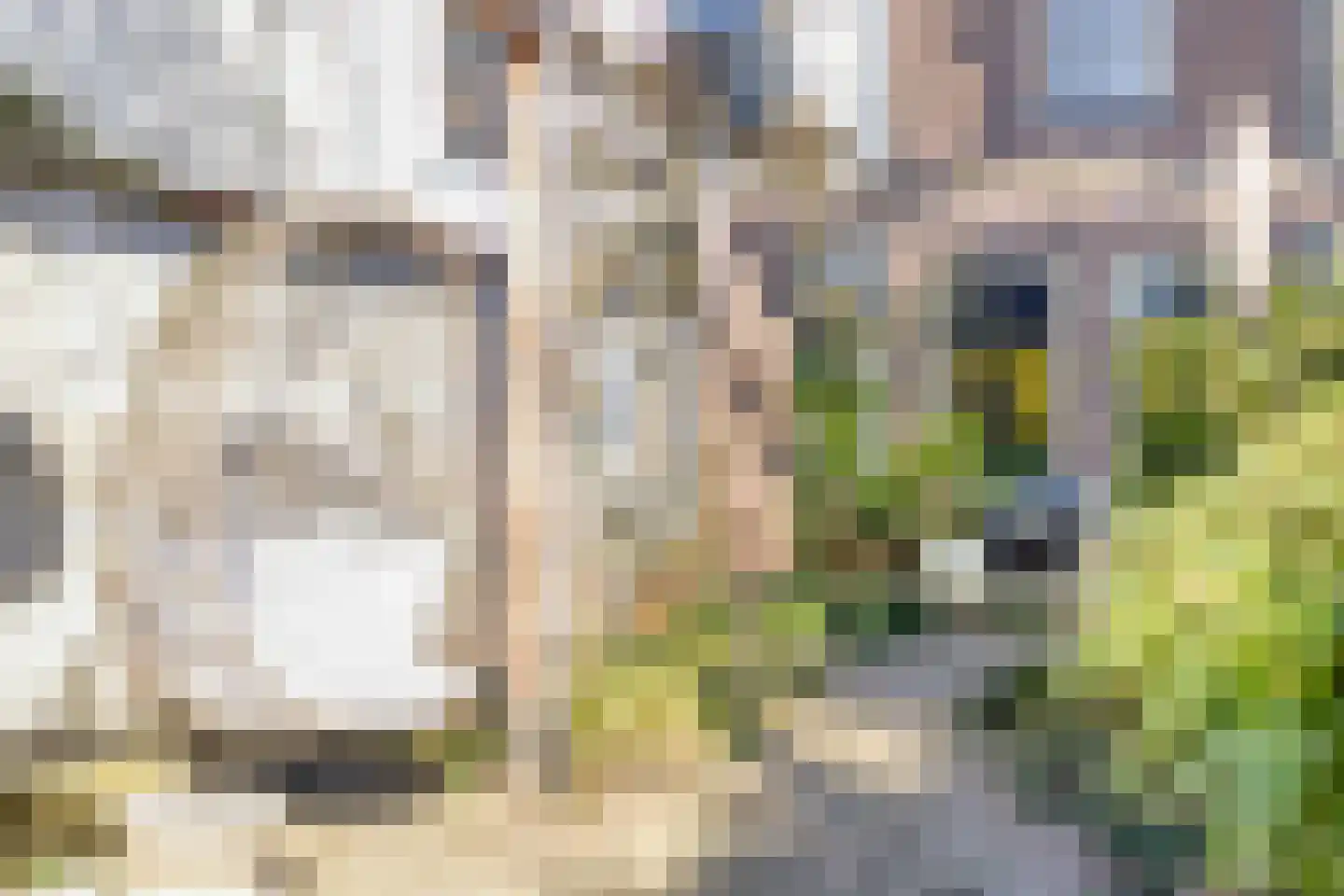 Philippus Gastelaarsstraat 9 a Doesburg thumbnail 62