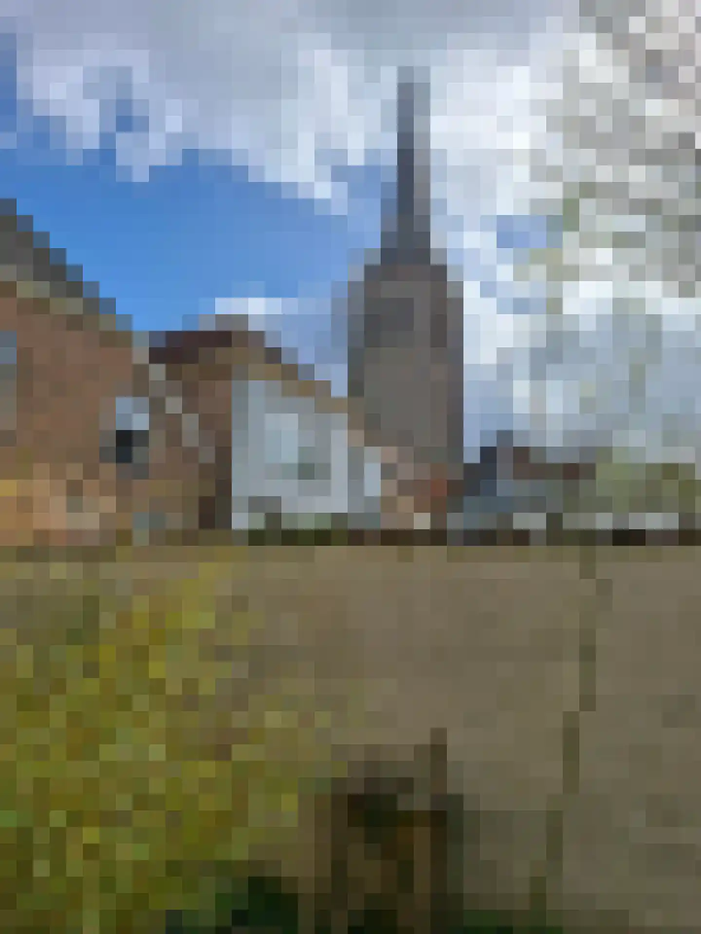 Philippus Gastelaarsstraat 9 a Doesburg thumbnail 66