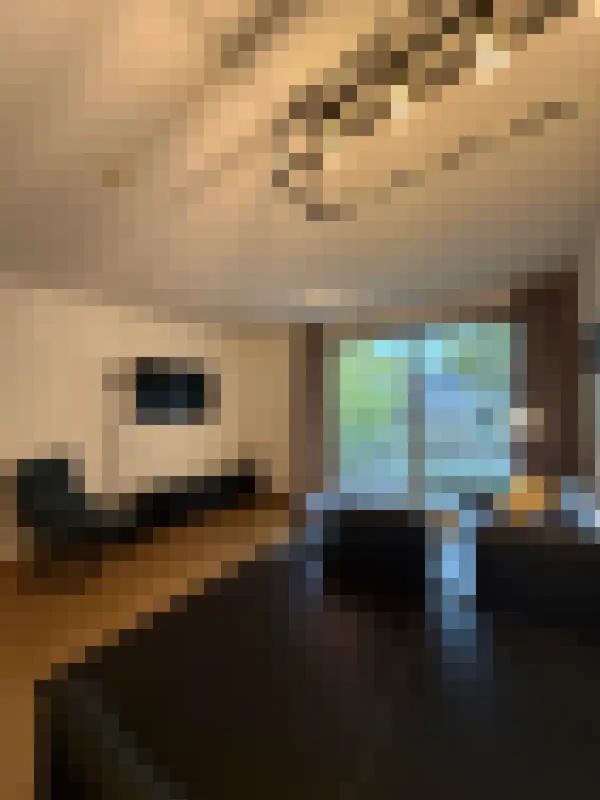 Philips de Goedelaan 2 Eindhoven thumbnail 4