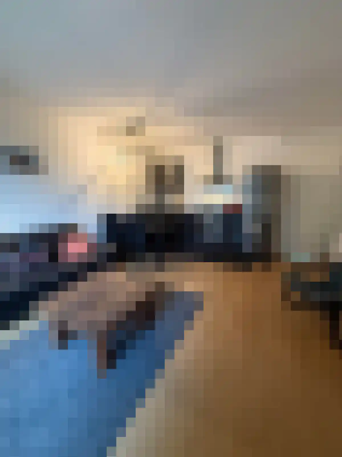 Philips de Goedelaan 2 Eindhoven thumbnail 5