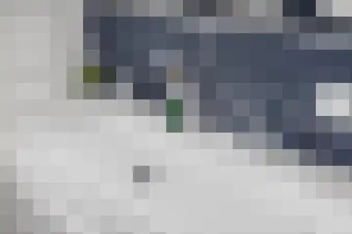 Philips de Goedelaan 8 Eindhoven thumbnail 28